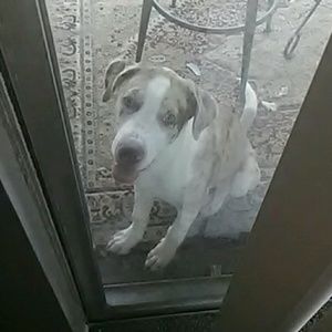 Meet your Posher, Marie